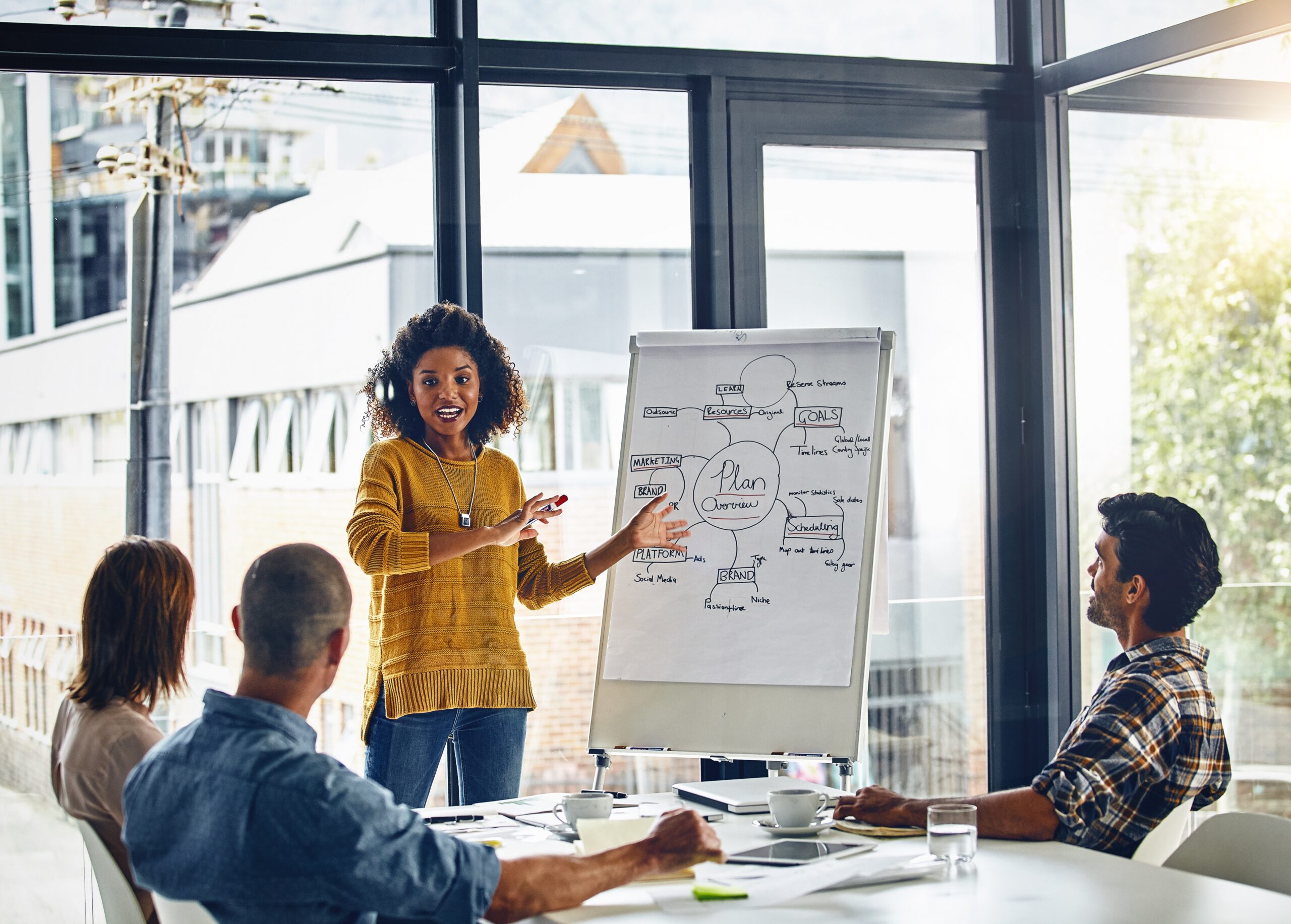 sales development